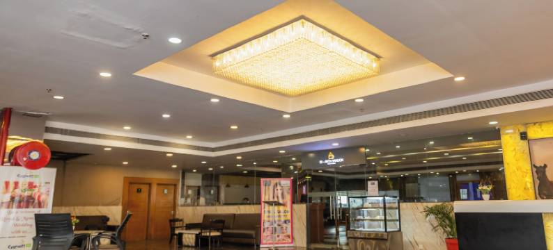 阿奇勒克瑙酒店(Hotel di Arch Lucknow)图片