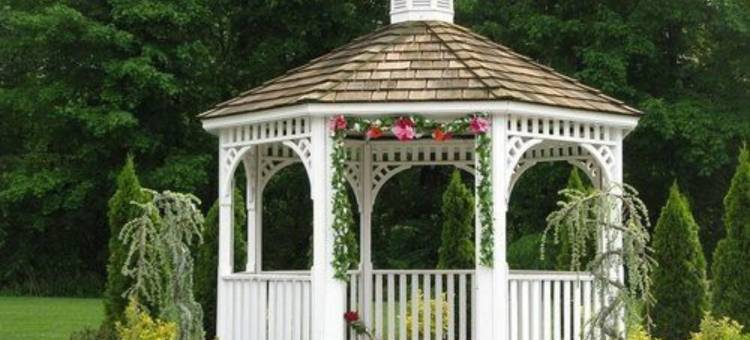 舒适玫瑰旅馆(Cozy Rose Inn)图片