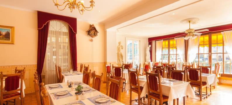 中央大陆酒店(Hotel Central Continental)图片