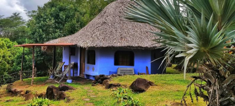 太阳村舍生态小屋旅馆(Finca del Sol Eco Lodge)图片
