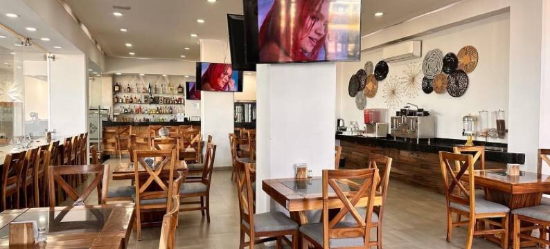 布加里机场酒店瓜达拉哈拉(Hotel Bugari Aeropuerto Guadalajara)图片