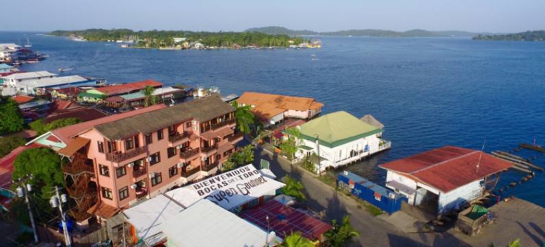 皇家棕榈酒店(Hotel Palma Royale)图片