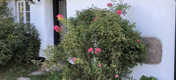 伦卡贝格住宿加早餐旅馆(Lunkaberg Bed & Breakfast)图片