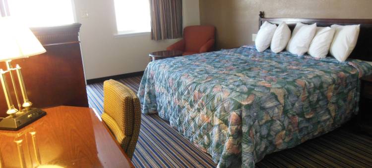 66 号公路汽车旅馆(Route 66 Inn)图片