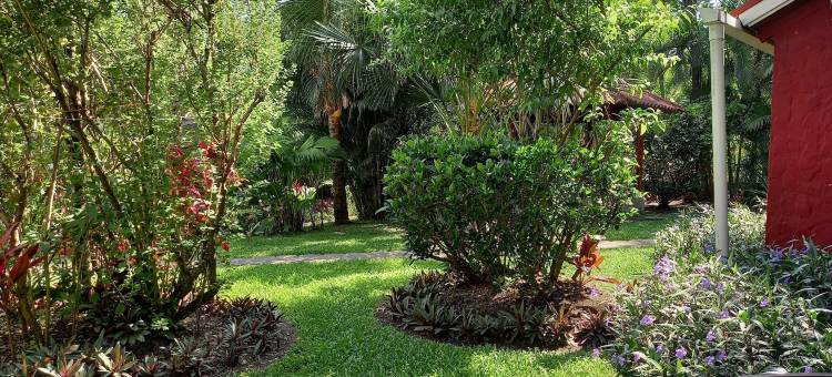 维拉维多利亚山林小屋(Cabaña Villa Victoria)图片