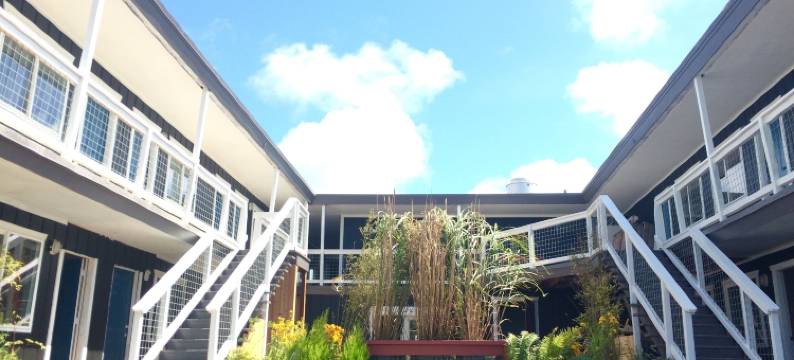 盐酒店及酒吧(Salt Hotel & Pub)图片