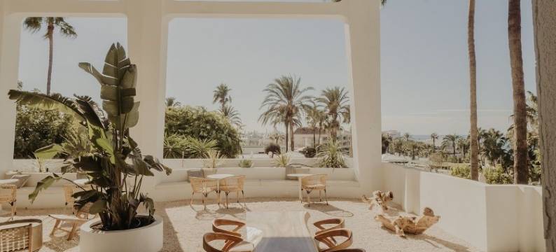 舒适工作室(Comfy Studios)图片