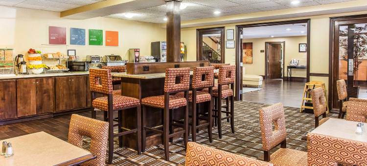 棒球场区舒适套房酒店(Comfort Inn & Suites Ballpark Area)图片