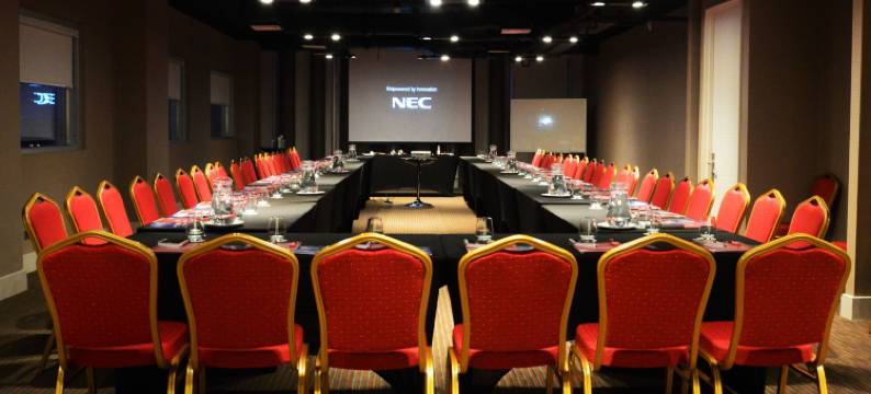 库里科丽笙酒店(Radisson Hotel Curico)图片