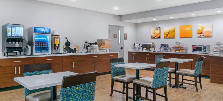 奥本希尔斯舒适套房酒店(Comfort Suites Auburn Hills-Detroit)图片