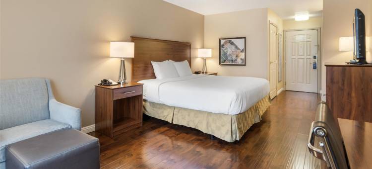 约翰杰伊贝斯特韦斯特优质套房酒店(Best Western Plus John Jay Inn  Suites)图片