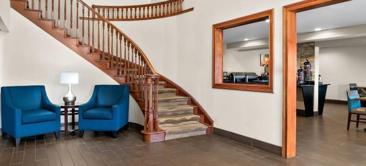 舒适套房酒店(Comfort Inn & Suites)图片