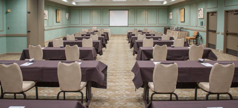 希尔顿欢朋套房酒店-新奥尔良爱姆伍德(Hampton Inn & Suites New Orleans-Elmwood/Clearview Parkway Area)图片