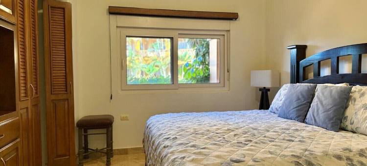 海星(Estrella de Mar)图片