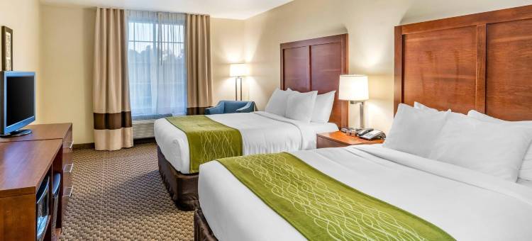 兰开斯特羚羊谷舒适套房酒店(Comfort Inn & Suites Lancaster Antelope Valley)图片