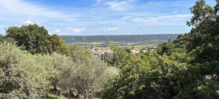 卡西斯庄园(Clos des Cassis - Maison d'Hôtes)图片