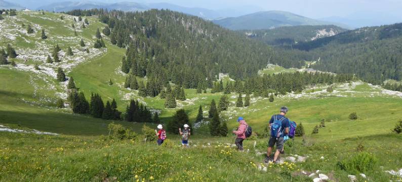 Family Retreat near Garda图片