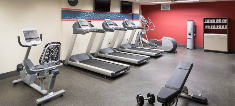 希尔顿欢朋套房酒店-亚特兰大市中心(Hampton Inn & Suites Atlanta-Downtown)图片