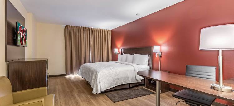 休斯顿IAH机场西南红顶Plus套房酒店(Red Roof Plus+ & Suites Houston - IAH Airport SW)图片