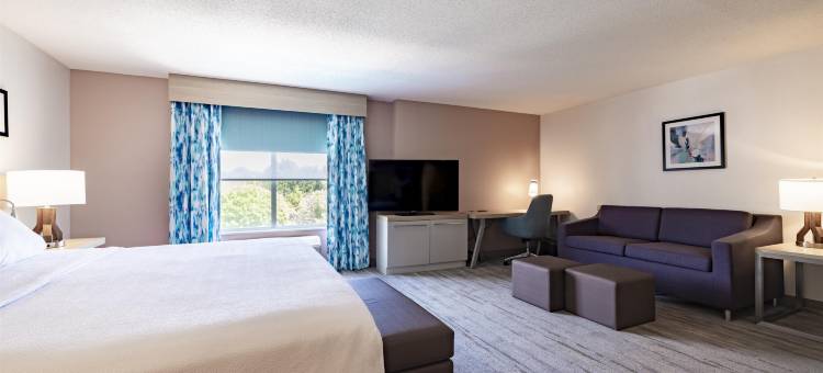 阿尔巴尼希尔顿花园酒店(Hilton Garden Inn Albany)图片