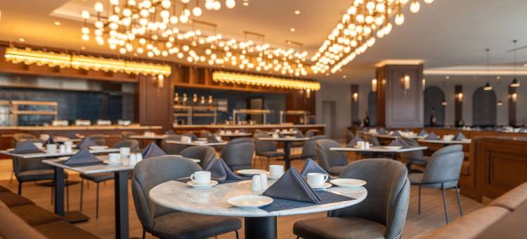 丽笙蓝标酒店-安曼Galleria购物中心(Radisson Blu Hotel, Amman Galleria Mall)图片