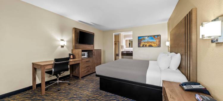 Quality Inn & Suites图片