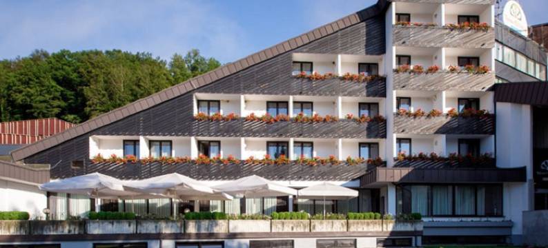 欧里米尔温泉 - 布雷扎酒店(Terme Olimia - Hotel Breza)图片