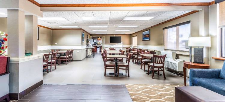 费斯特-南圣路易斯舒适酒店(Comfort Inn Festus-St Louis South)图片