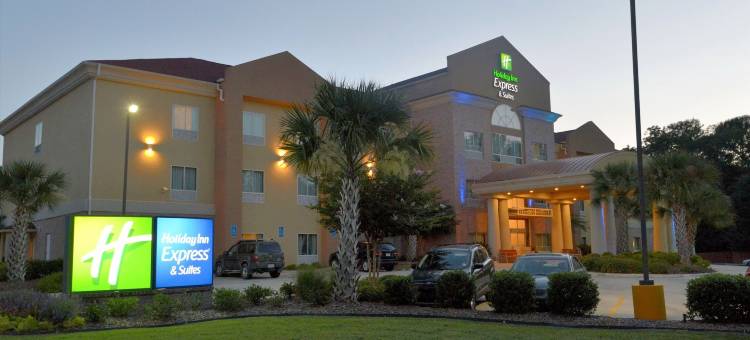 智选假日套房酒店巴吞鲁日北 by IHG(Holiday Inn Express & Suites Baton Rouge North by IHG)图片