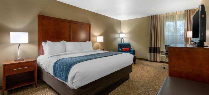 奥卡拉-银泉舒适酒店(Comfort Inn Ocala Silver Springs)图片