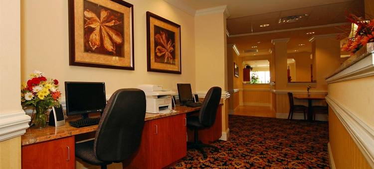 舒适套房酒店(Comfort Suites)图片