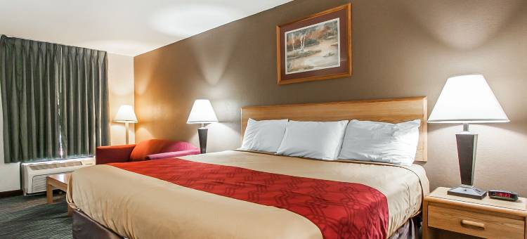 伊克诺套房酒店(Econo Lodge Inn and Suites - Jackson)图片