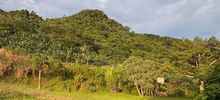 Charming Mountain Retreat in Jayuya, Puerto Rico图片