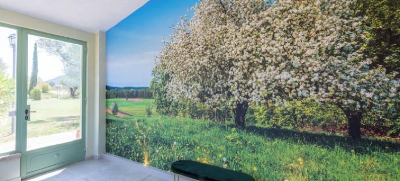 博尔戈圣特乡村别墅(BORGO SANTE Country House)图片