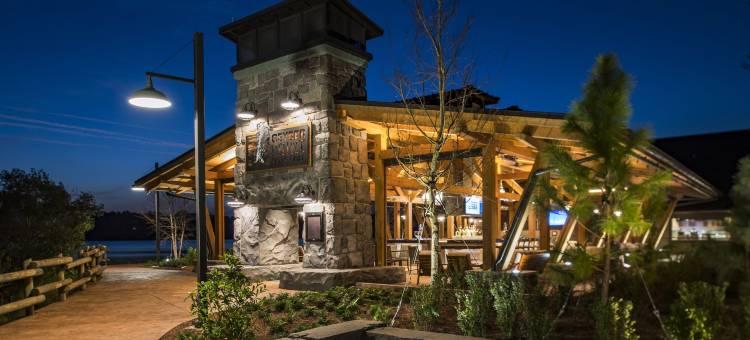 迪斯尼生境度假村铜溪别墅与木屋度假村(Copper Creek Villas & Cabins at Disney's Wilderness Lodge)图片