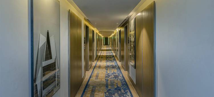 法格瓦拉丽笙酒店(Radisson Hotel Phagwara)图片