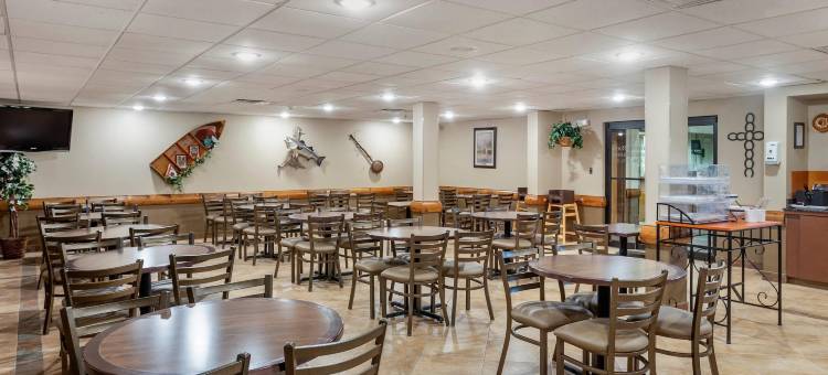 布兰森梅多斯舒适套房酒店(Comfort Inn & Suites Branson Meadows)图片
