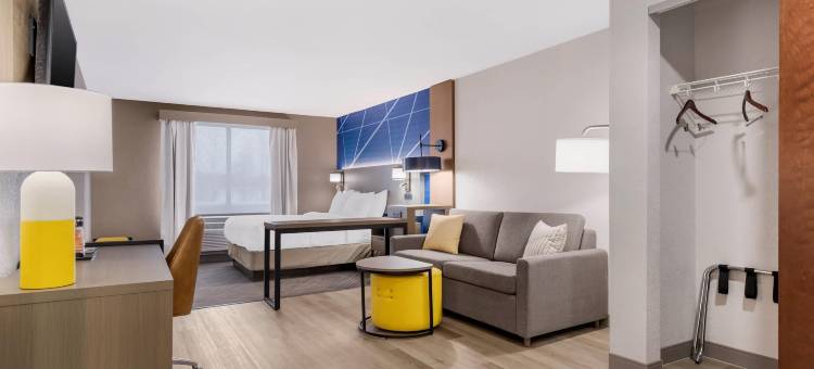 舒适酒店及套房(Comfort Inn & Suites)图片