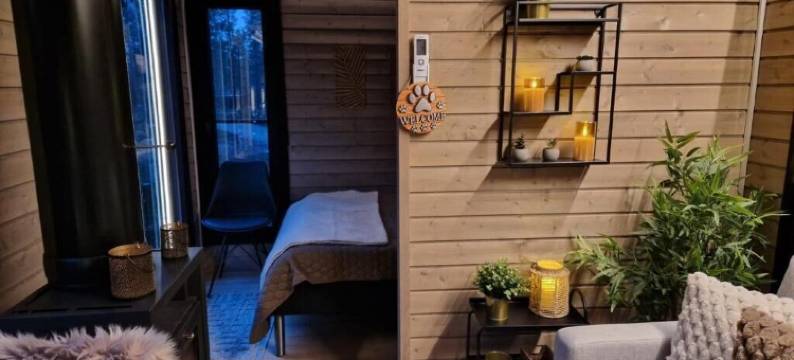 北极光(Borealis)图片