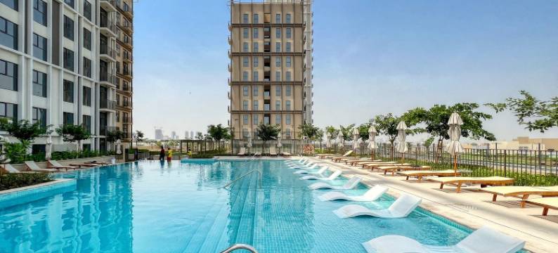 Collective 1 T2 1006图片