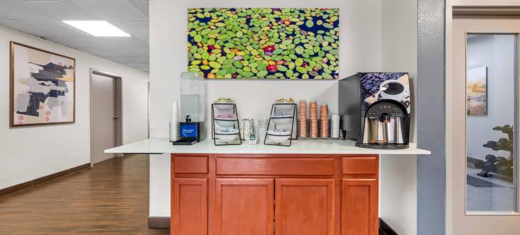金斯波特东南舒适酒店(Comfort Inn Kingsport Southeast)图片