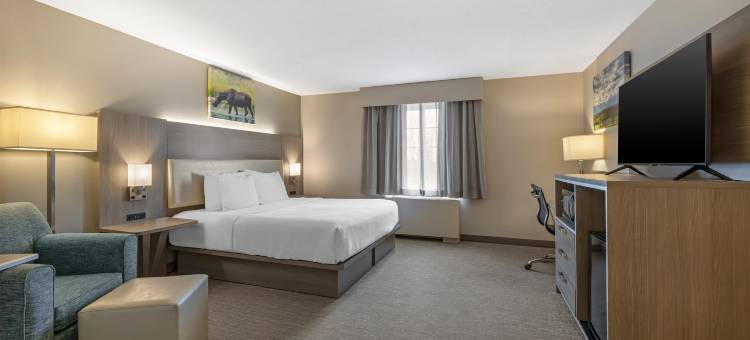 先驱者公园贝斯特韦斯特优质酒店(Best Western Plus Pioneer Park Inn)图片