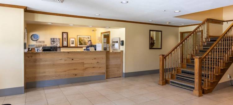 罗切斯特威洛套房酒店(Willow Inn Suites Rochester)图片