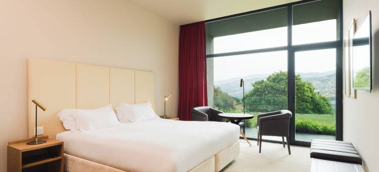 杜罗宫水疗度假村酒店(Douro Palace Hotel Resort & Spa)图片