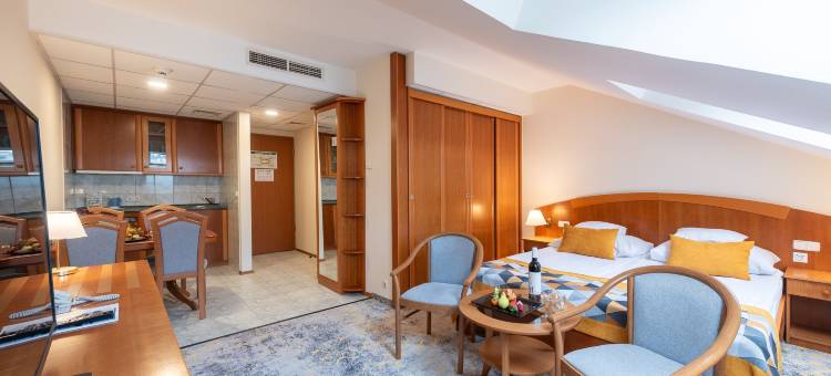 赫维兹宫殿酒店(Palace Hotel Hévíz)图片