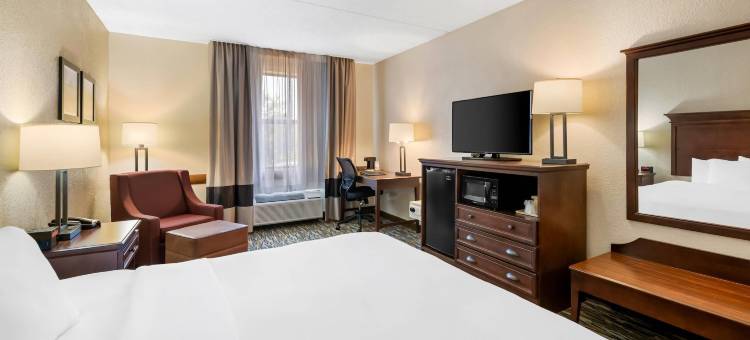 布兰森梅多斯舒适套房酒店(Comfort Inn & Suites Branson Meadows)图片