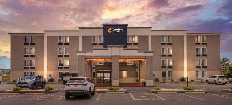 Dunmore舒适酒店-斯克兰顿东(Comfort Inn Dunmore - Scranton East)图片