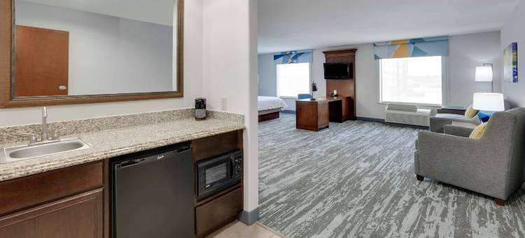 达拉斯阿林顿南欢朋套房酒店(Hampton Inn & Suites Dallas-Arlington-South)图片
