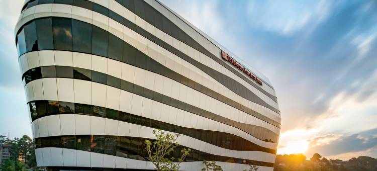 斯威士兰姆巴巴纳希尔顿花园酒店(Hilton Garden Inn Mbabane)图片