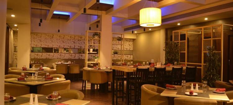 优特萨豪华酒店(Hotel Utsav Deluxe)图片